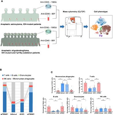 CyTOF Analysis Reveals a Distinct Immunosuppressive Microenvironment in IDH Mutant Anaplastic Gliomas